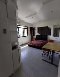 Boon Teck Apartment (D12), Apartment #582395521